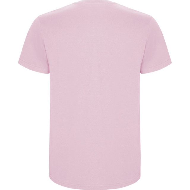 Roly Kinder/kinder stafford t-shirt met korte mouwen UTPF4336_lightpink large