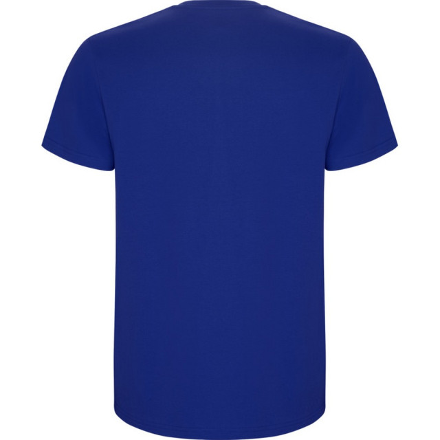 Roly Kinder/kinder stafford t-shirt met korte mouwen UTPF4336_royalblue large