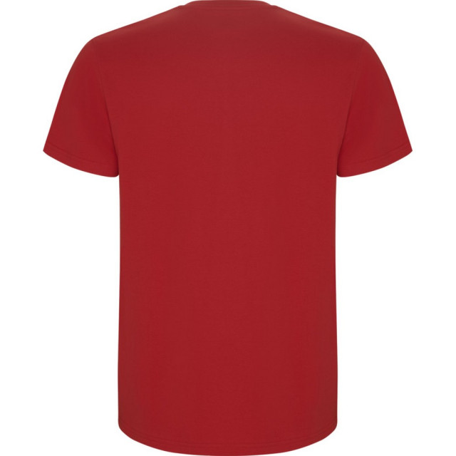 Roly Kinder/kinder stafford t-shirt met korte mouwen UTPF4336_red large