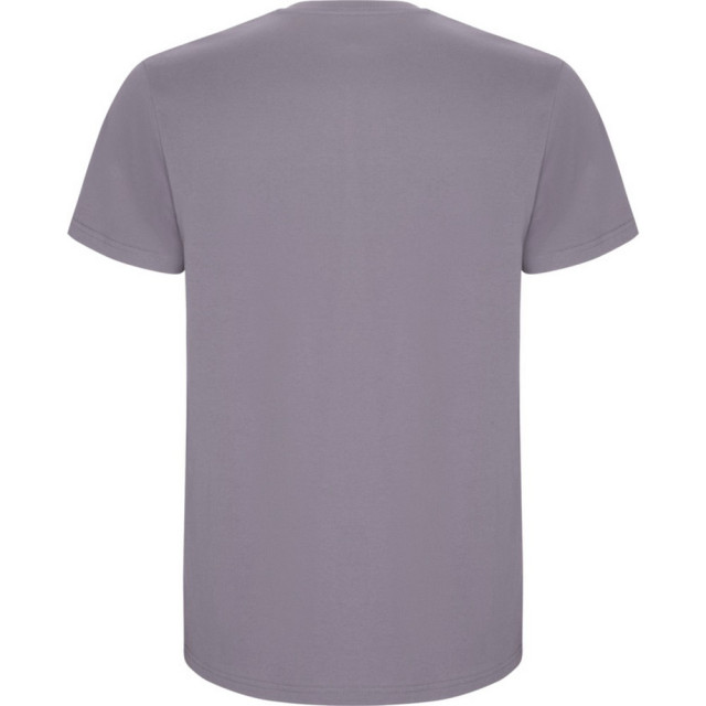 Roly Kinder/kinder stafford t-shirt met korte mouwen UTPF4336_lavender large