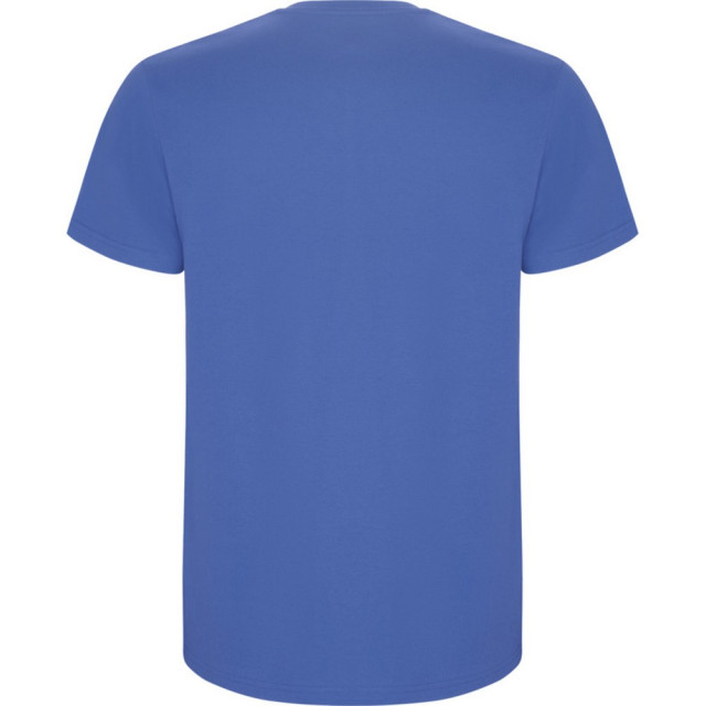 Roly Kinder/kinder stafford t-shirt met korte mouwen UTPF4336_rivierablue large