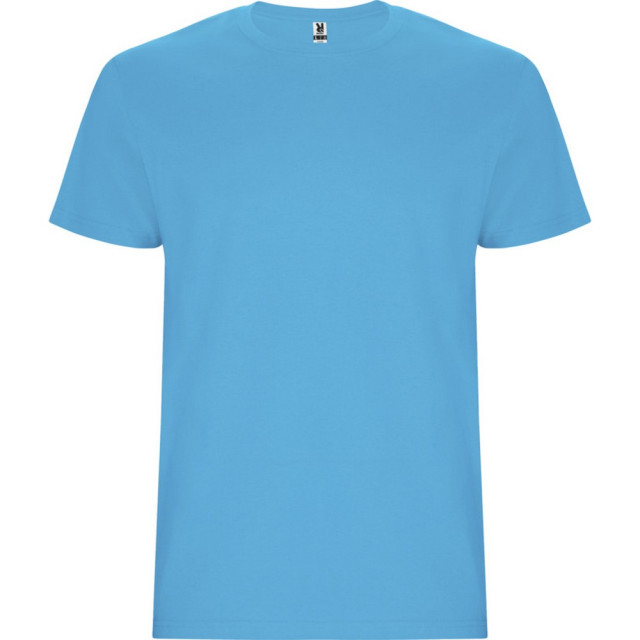 Roly Kinder/kinder stafford t-shirt met korte mouwen UTPF4336_turquoise large