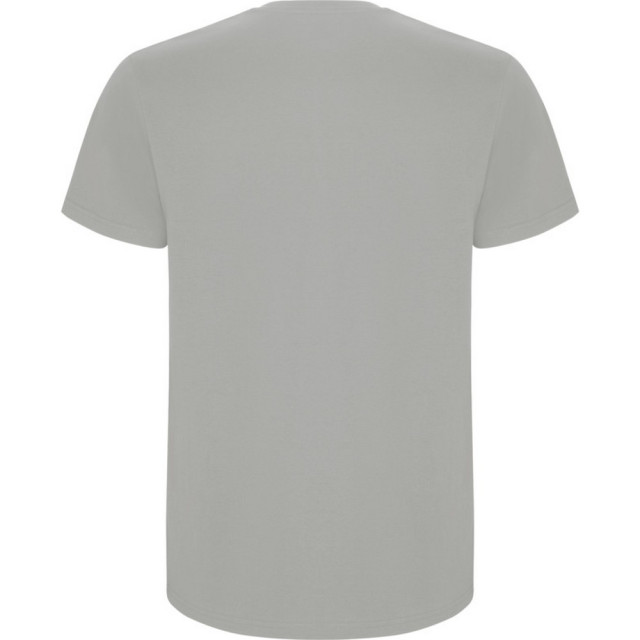 Roly Kinder/kinder stafford t-shirt met korte mouwen UTPF4336_opal large