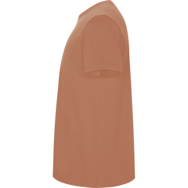 Roly Kinder/kinder stafford t-shirt met korte mouwen UTPF4336_greekorange large