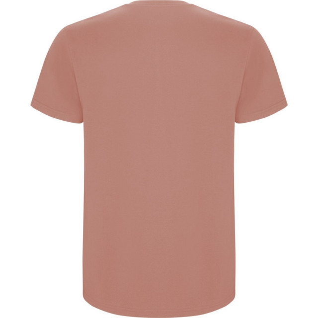 Roly Kinder/kinder stafford t-shirt met korte mouwen UTPF4336_clayorange large
