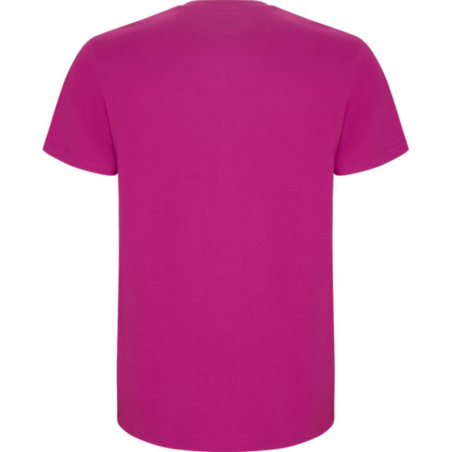 Roly Kinder/kinder stafford t-shirt met korte mouwen UTPF4336_rosette large
