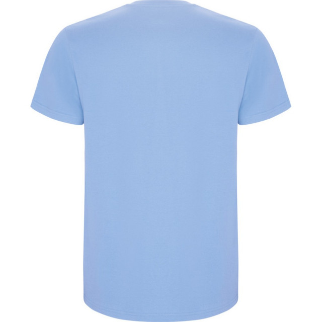 Roly Kinder/kinder stafford t-shirt met korte mouwen UTPF4336_skyblue large