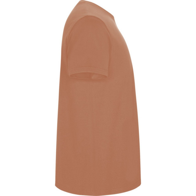 Roly Kinder/kinder stafford t-shirt met korte mouwen UTPF4336_greekorange large