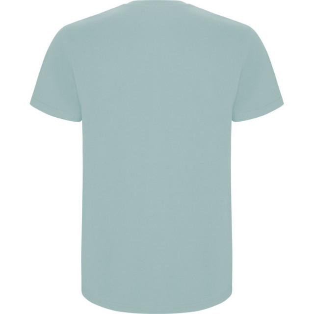 Roly Kinder/kinder stafford t-shirt met korte mouwen UTPF4336_washedblue large