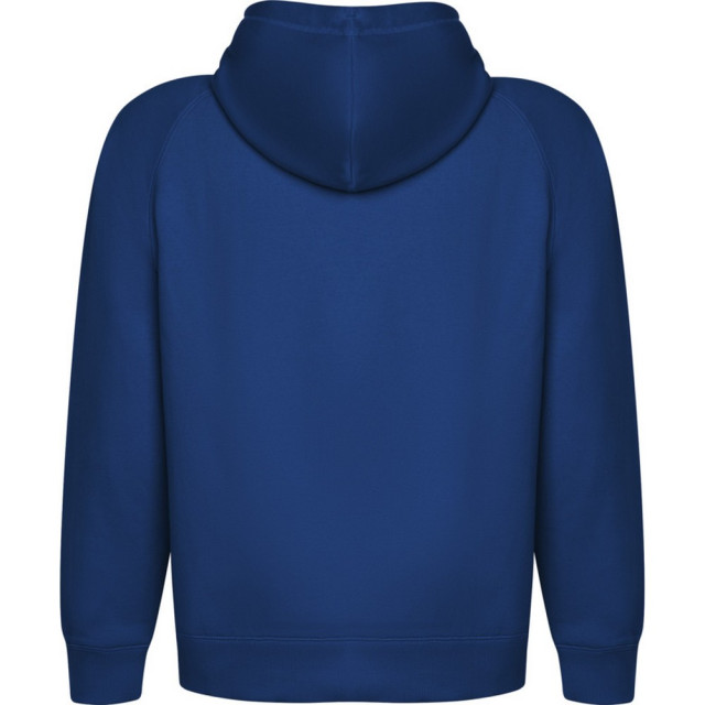 Roly Vinson hoodie voor volwassenen UTPF4316_royalblue large
