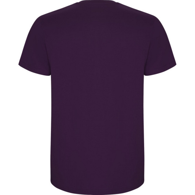 Roly Kinder/kinder stafford t-shirt met korte mouwen UTPF4336_purple large