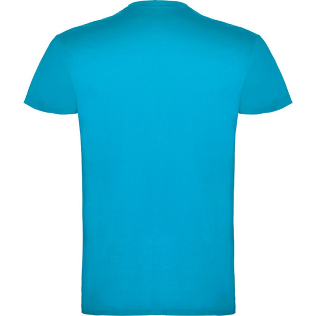 Roly Kinder/kinder beagle t-shirt met korte mouwen UTPF4303_turquoise large