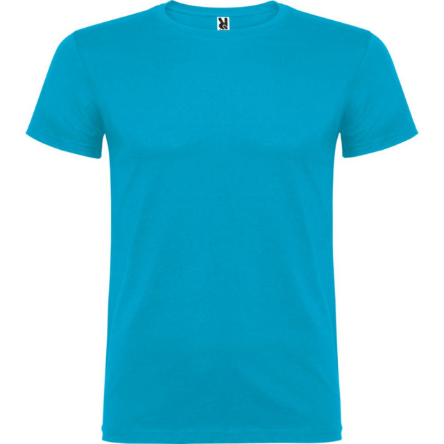 Roly Kinder/kinder beagle t-shirt met korte mouwen UTPF4303_turquoise large