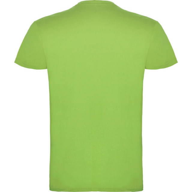 Roly Kinder/kinder beagle t-shirt met korte mouwen UTPF4303_oasisgreen large