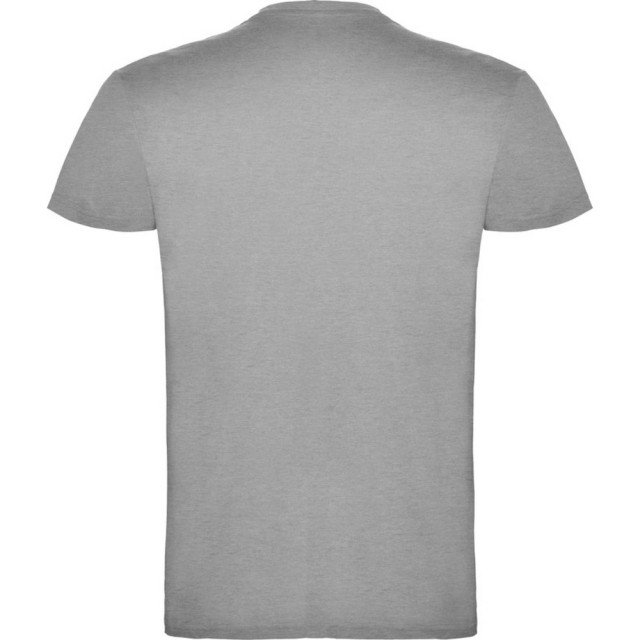 Roly Kinder/kinder beagle t-shirt met korte mouwen UTPF4303_greymarl large