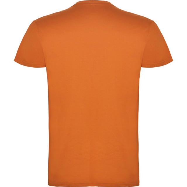 Roly Kinder/kinder beagle t-shirt met korte mouwen UTPF4303_orange large