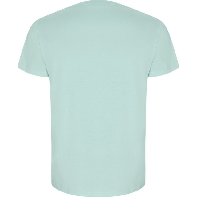 Roly Heren gouden effen t-shirt met korte mouwen UTPF4236_mint large