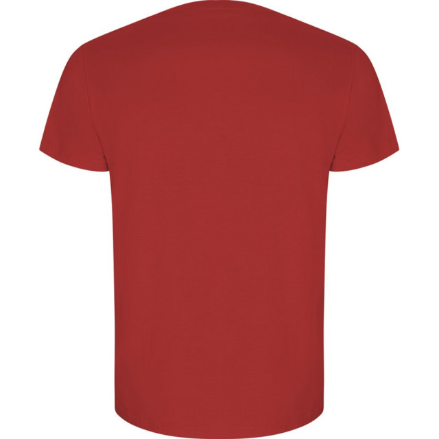 Roly Heren gouden effen t-shirt met korte mouwen UTPF4236_red large