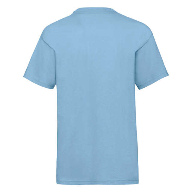 Fruit of the Loom Kinder/kids waardevol t-shirt UTLT2824_skyblue large