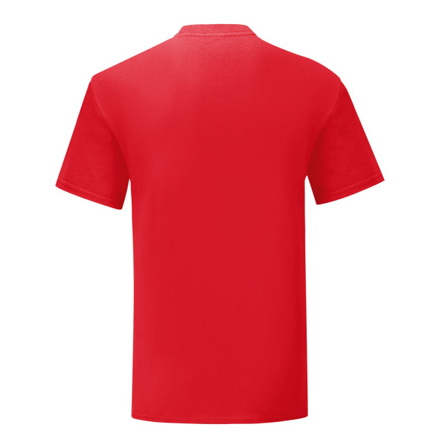 Fruit of the Loom Unisex volwassen iconisch t-shirt UTLT2613_red large