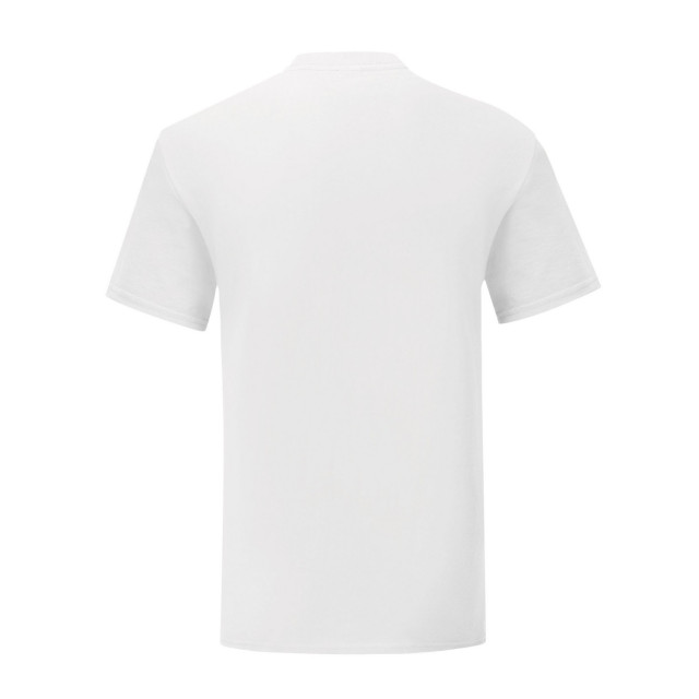 Fruit of the Loom Unisex adult iconisch v hals t-shirt UTLT1562_white large