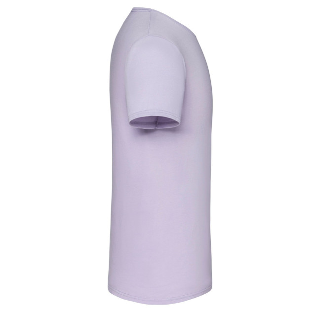 Fruit of the Loom Unisex volwassen iconisch t-shirt UTLT2613_softlavender large