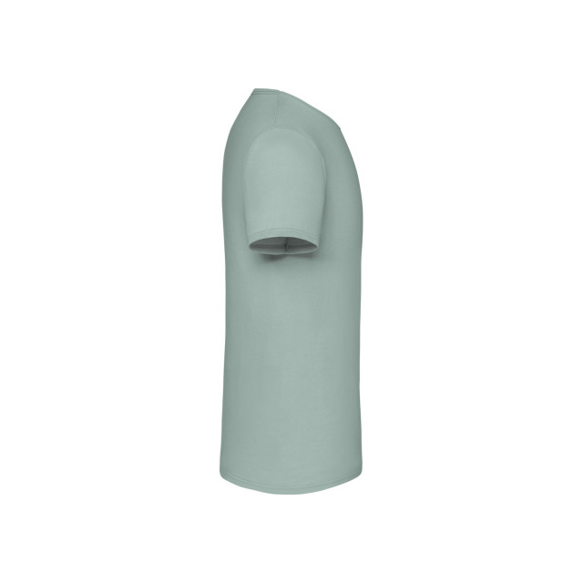 Fruit of the Loom Unisex volwassen iconisch t-shirt UTLT2613_sage large