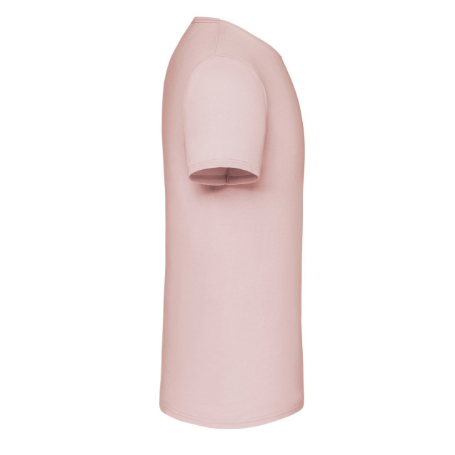 Fruit of the Loom Unisex volwassen iconisch t-shirt UTLT2613_powderrose large