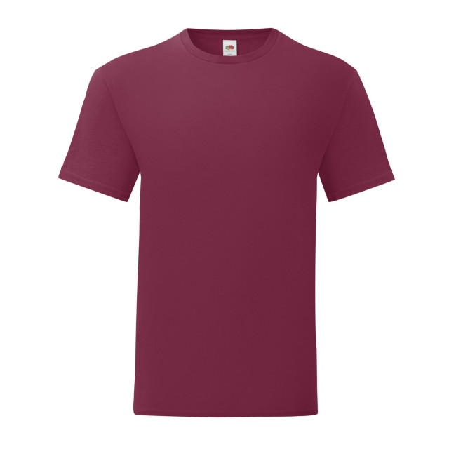 Fruit of the Loom Unisex volwassen iconisch t-shirt UTLT2613_burgundy large