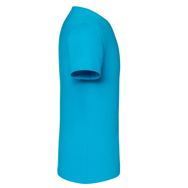 Fruit of the Loom Unisex volwassen iconisch t-shirt UTLT2613_azureblue large