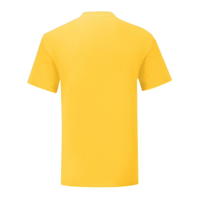 Fruit of the Loom Unisex volwassen iconisch t-shirt UTLT2613_sunflower large