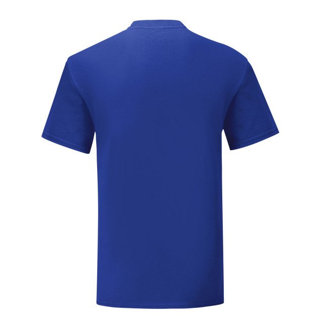 Fruit of the Loom Unisex volwassen iconisch t-shirt UTLT2613_cobaltblue large