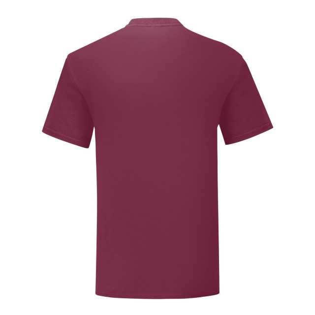 Fruit of the Loom Unisex volwassen iconisch t-shirt UTLT2613_burgundy large