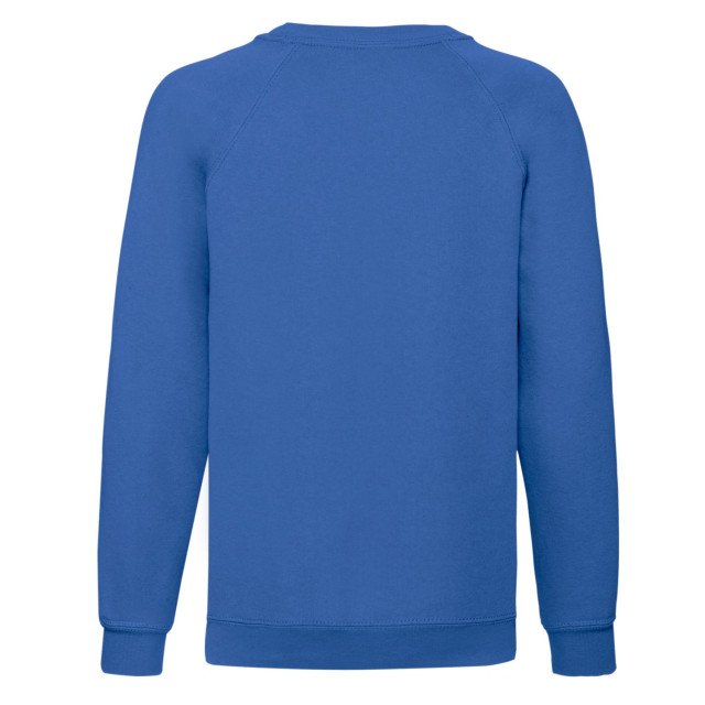 Fruit of the Loom Klassiek raglan sweatshirt voor kinderen/kinderen UTLT1841_royalblue large