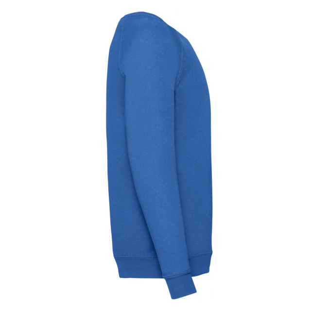 Fruit of the Loom Klassiek raglan sweatshirt voor kinderen/kinderen UTLT1841_royalblue large