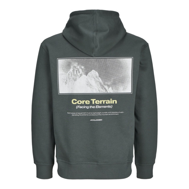 Jack & Jones Jcoalpha mountain print sweat hood oud 5209.23.0018 large Jack & Jones Jcoalpha mountain print sweat hood oud 5209.23.0018 large