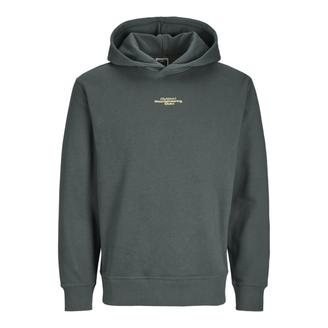 Jack & Jones Jcoalpha mountain print sweat hood oud 5209.23.0018 large Jack & Jones Jcoalpha mountain print sweat hood oud 5209.23.0018 large