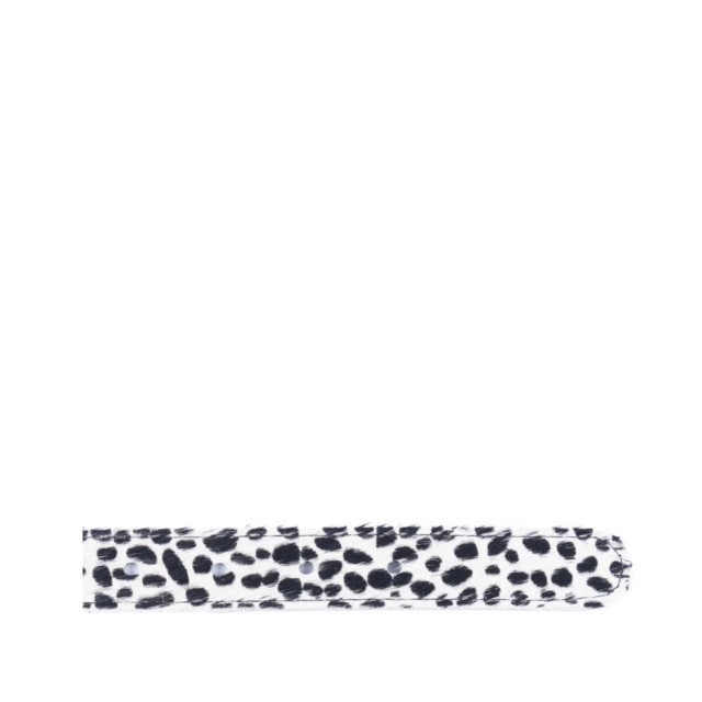 Dstrct 30801 dots dames riemen 30801 DOTS large