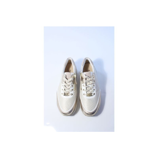 Hassia Porto 302055 sneakers 302055 large