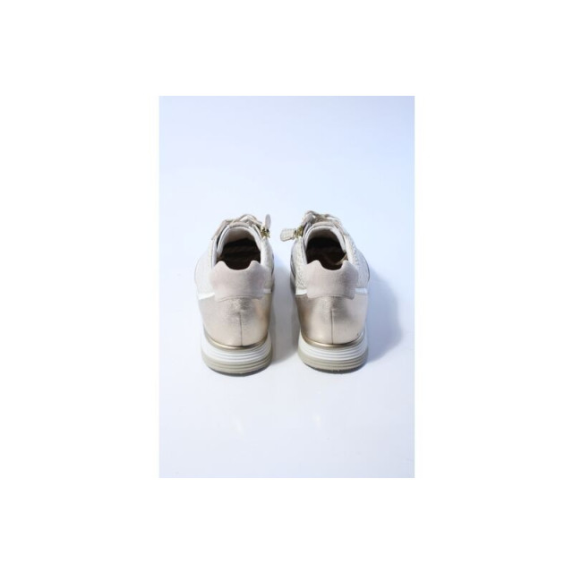 Hassia Porto 302055 sneakers 302055 large