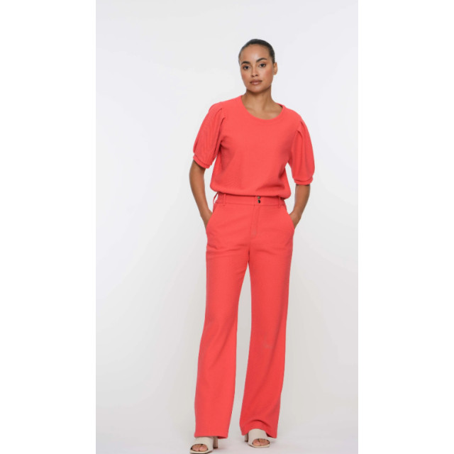 Geisha Pants 51126-21- 51126-21-coral large