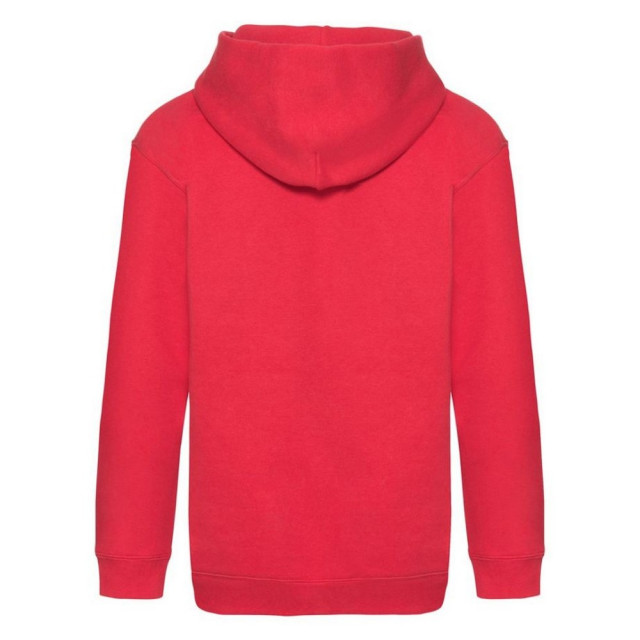 Fruit of the Loom Kinder/kids premium hoodie UTLT1977_red large