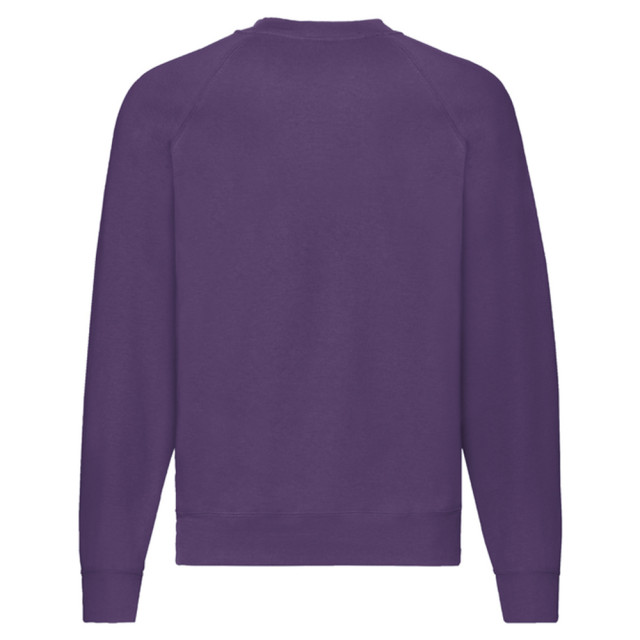 Fruit of the Loom Uniseks klassiek raglan sweatshirt voor volwassenen UTLT2391_purple large