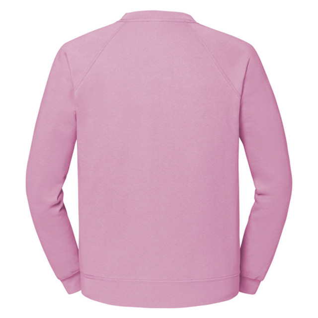 Fruit of the Loom Uniseks klassiek raglan sweatshirt voor volwassenen UTLT2391_lightpink large