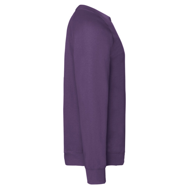 Fruit of the Loom Uniseks klassiek raglan sweatshirt voor volwassenen UTLT2391_purple large