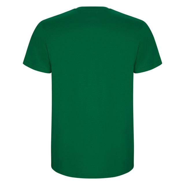 Roly Heren stafford t-shirt UTLT4839_kellygreen large