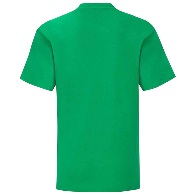 Fruit of the Loom Kinderen/kinderen iconisch t-shirt UTLT3179_kellygreen large