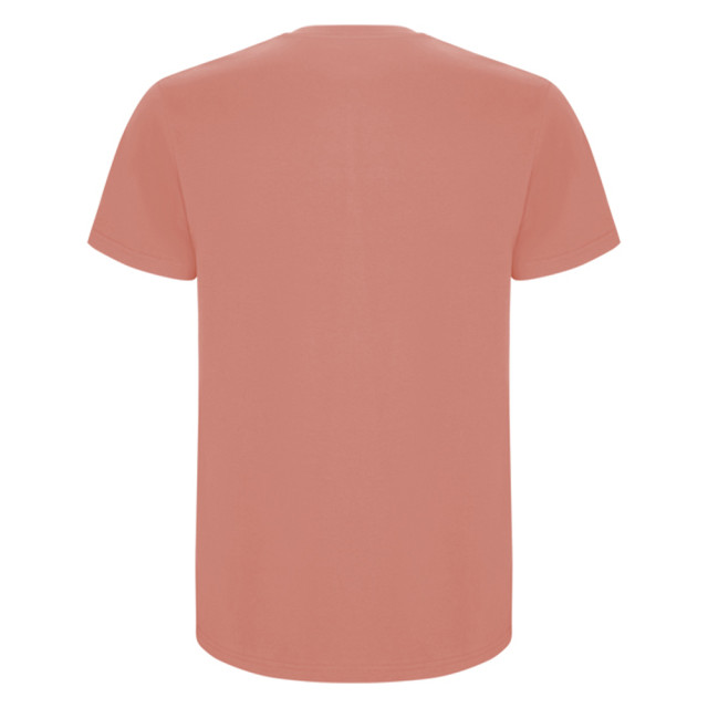 Roly Heren stafford t-shirt UTLT4839_clayorange large