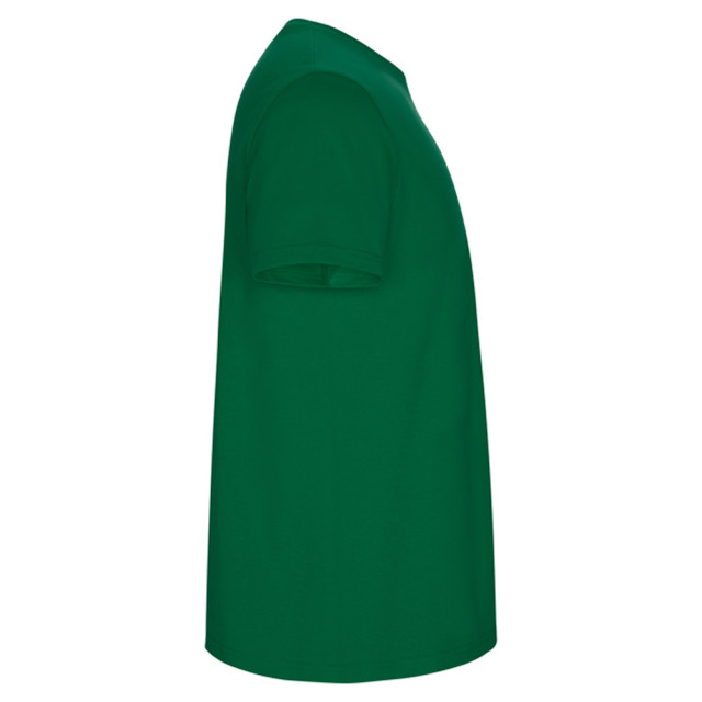Roly Heren stafford t-shirt UTLT4839_kellygreen large