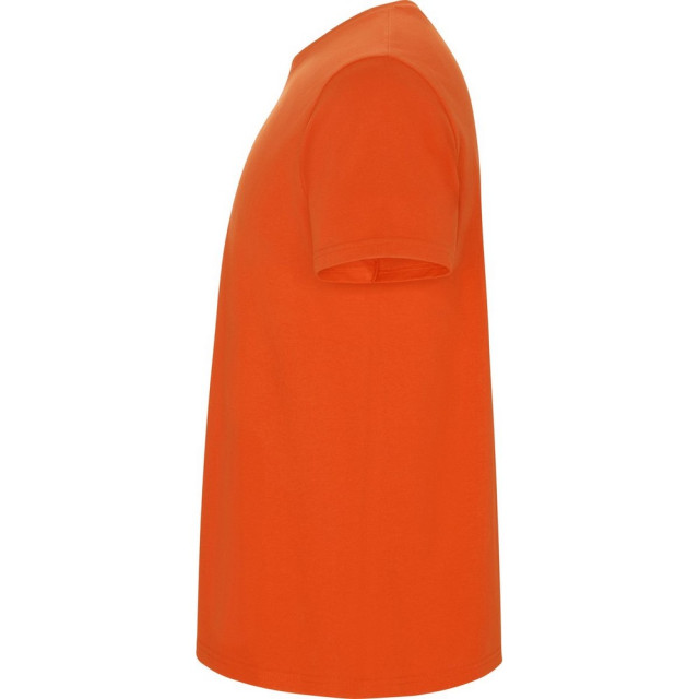 Roly Kinderen/kinderen stafford t-shirt UTLT5595_orange large Roly Kinderen/kinderen stafford t-shirt UTLT5595_orange large